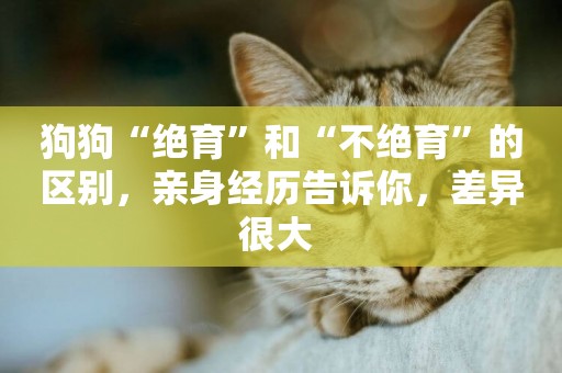 狗狗“絕育”和“不絕育”的區別，親身經歷告訴你，差異很大 