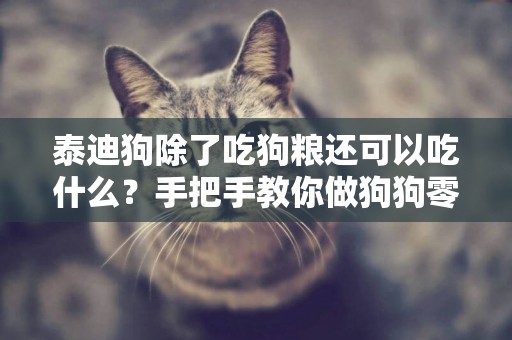 泰迪狗除了吃狗糧還可以吃什么？手把手教你做狗狗零食 