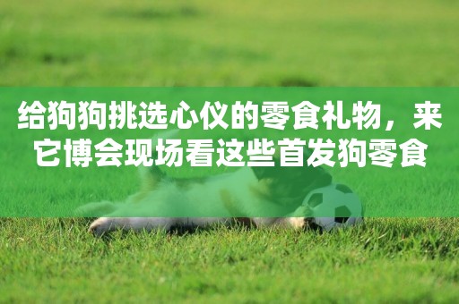 給狗狗挑選心儀的零食禮物，來它博會現場看這些首發狗零食 