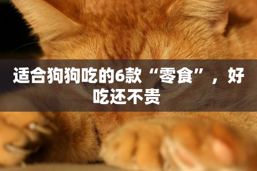 適合狗狗吃的6款“零食”，好吃還不貴 