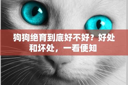 狗狗絕育到底好不好？好處和壞處，一看便知 