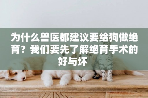 為什么獸醫都建議要給狗做絕育？我們要先了解絕育手術的好與壞 