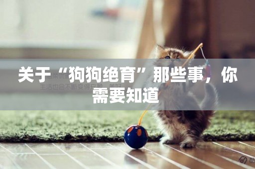 關于“狗狗絕育”那些事，你需要知道 