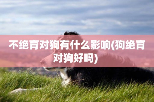不絕育對狗有什么影響(狗絕育對狗好嗎) 