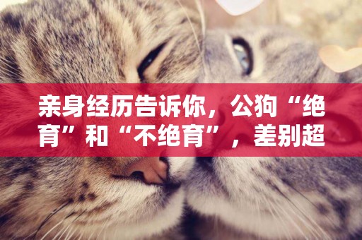 親身經歷告訴你，公狗“絕育”和“不絕育”，差別超大 