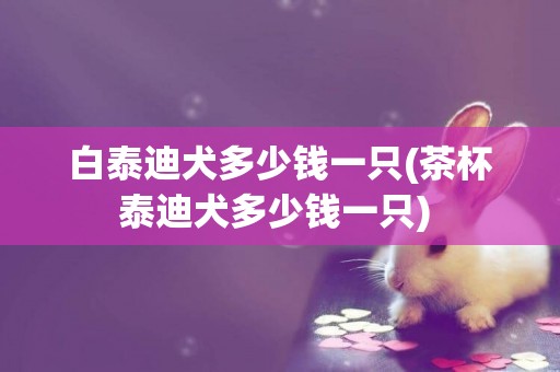 白泰迪犬多少錢一只(茶杯泰迪犬多少錢一只) 