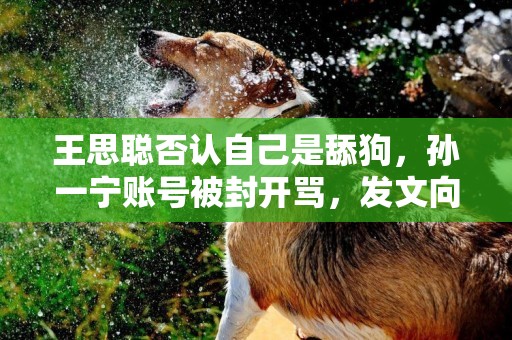 王思聰否認自己是舔狗，孫一寧賬號被封開罵，發文向粉絲報平安 