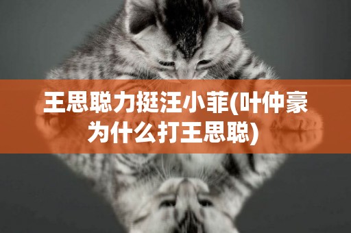 王思聰力挺汪小菲(葉仲豪為什么打王思聰) 
