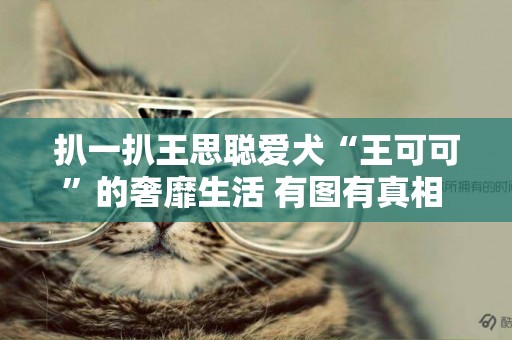 扒一扒王思聰愛犬“王可可”的奢靡生活 有圖有真相 