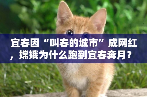 宜春因“叫春的城市”成網紅，嫦娥為什么跑到宜春奔月？ 