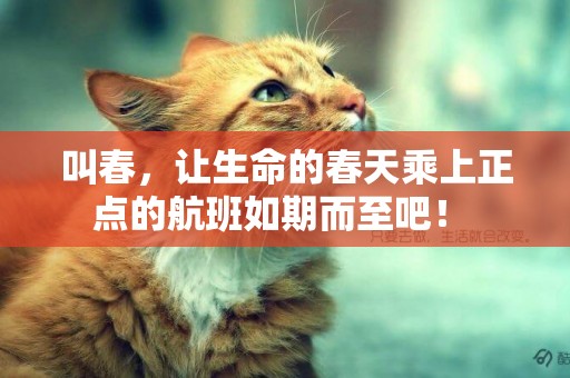 叫春，讓生命的春天乘上正點的航班如期而至吧！ 