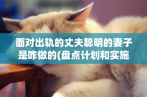 面對出軌的丈夫聰明的妻子是咋做的(盤點計劃和實施方案) 
