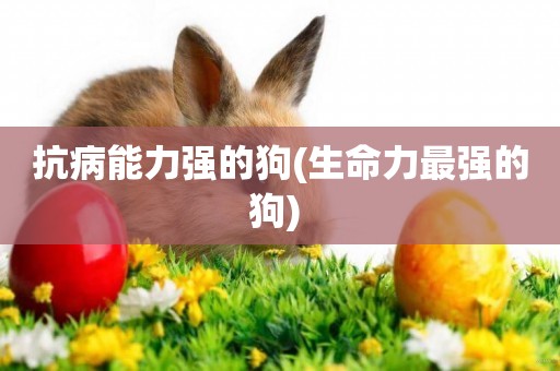 抗病能力強的狗(生命力最強的狗) 