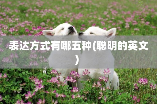 表達方式有哪五種(聰明的英文) 