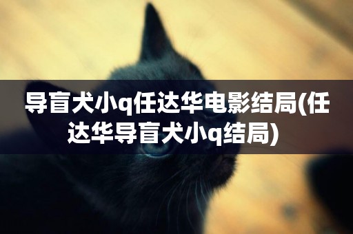 導盲犬小q任達華電影結局(任達華導盲犬小q結局) 