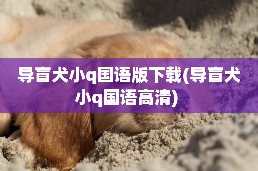 導盲犬小q國語版下載(導盲犬小q國語高清) 