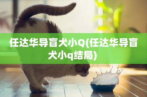 任達華導盲犬小Q(任達華導盲犬小q結局) 