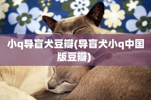 小q導盲犬豆瓣(導盲犬小q中國版豆瓣) 