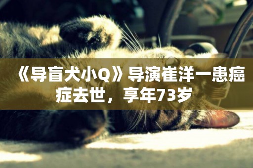 《導盲犬小Q》導演崔洋一患癌癥去世，享年73歲 