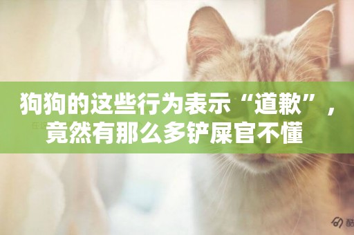 狗狗的這些行為表示“道歉”，竟然有那么多鏟屎官不懂 