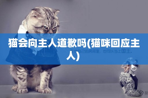 貓會向主人道歉嗎(貓咪回應主人) 