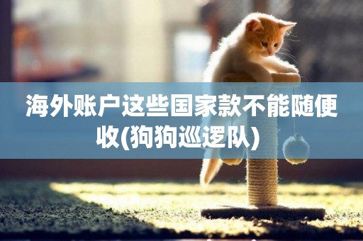海外賬戶這些國家款不能隨便收(狗狗巡邏隊) 
