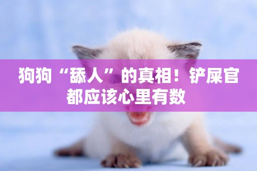 狗狗“舔人”的真相！鏟屎官都應該心里有數 