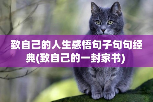 致自己的人生感悟句子句句經典(致自己的一封家書) 