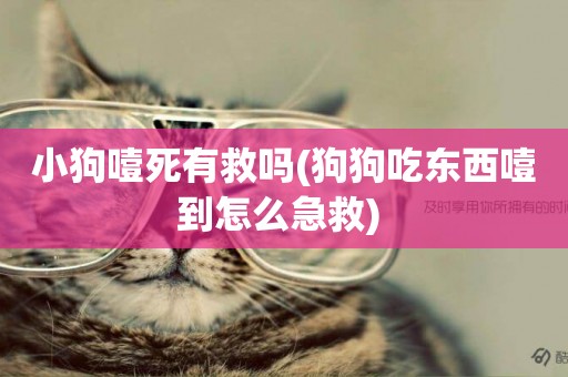小狗噎死有救嗎(狗狗吃東西噎到怎么急救) 