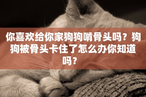 你喜歡給你家狗狗啃骨頭嗎？狗狗被骨頭卡住了怎么辦你知道嗎？ 