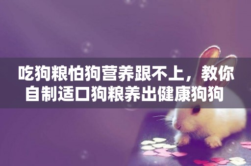 吃狗糧怕狗營養跟不上，教你自制適口狗糧養出健康狗狗 