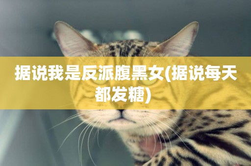 據說我是反派腹黑女(據說每天都發糖) 