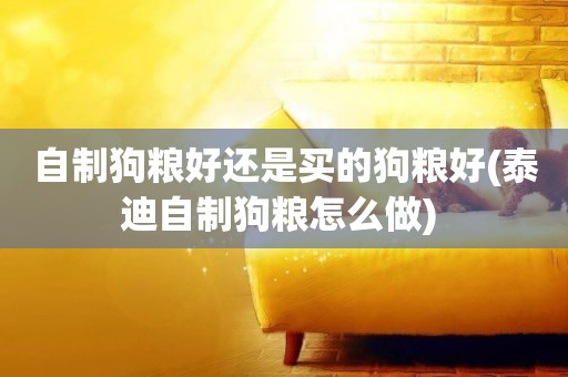 自制狗糧好還是買的狗糧好(泰迪自制狗糧怎么做) 