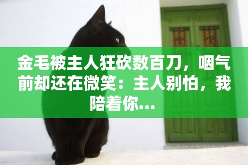 金毛被主人狂砍數百刀，咽氣前卻還在微笑：主人別怕，我陪著你… 