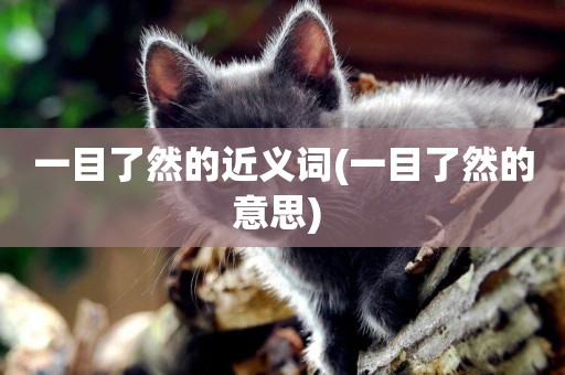 一目了然的近義詞(一目了然的意思) 