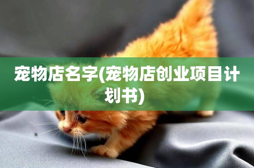 寵物店名字(寵物店創業項目計劃書) 