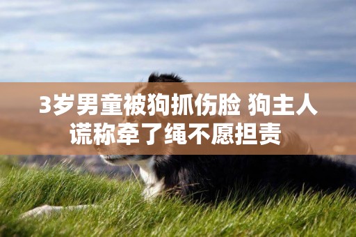 3歲男童被狗抓傷臉 狗主人謊稱牽了繩不愿擔責 