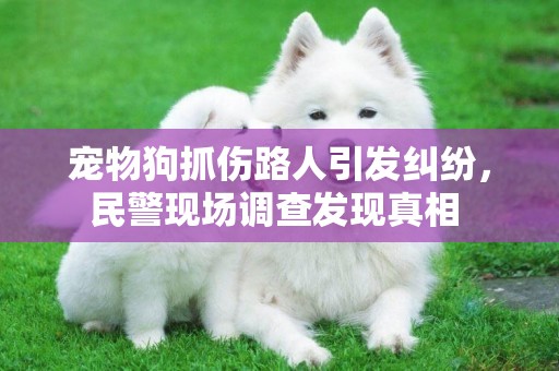 寵物狗抓傷路人引發糾紛，民警現場調查發現真相 