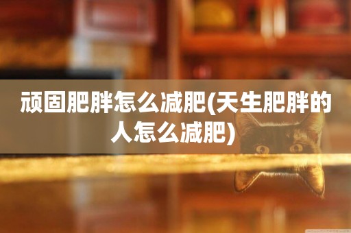 頑固肥胖怎么減肥(天生肥胖的人怎么減肥) 