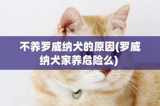 不養羅威納犬的原因(羅威納犬家養危險么) 