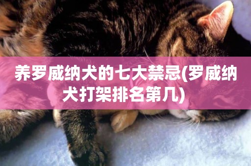 養羅威納犬的七大禁忌(羅威納犬打架排名第幾) 