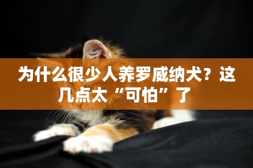 為什么很少人養羅威納犬？這幾點太“可怕”了 