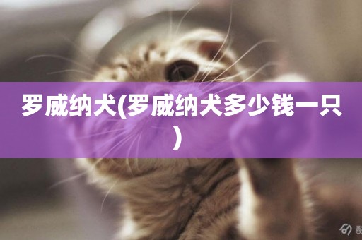 羅威納犬(羅威納犬多少錢一只) 