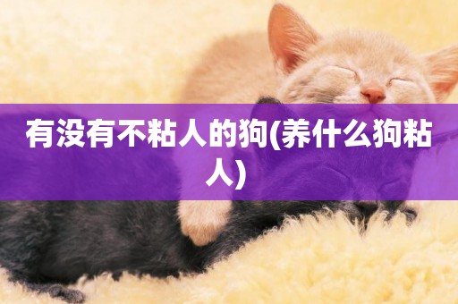 有沒有不粘人的狗(養什么狗粘人) 