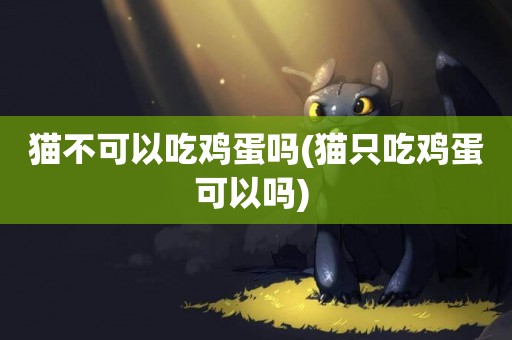 貓不可以吃雞蛋嗎(貓只吃雞蛋可以嗎) 