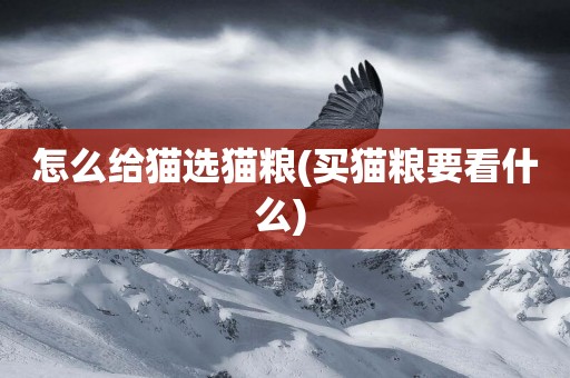 怎么給貓選貓糧(買貓糧要看什么) 