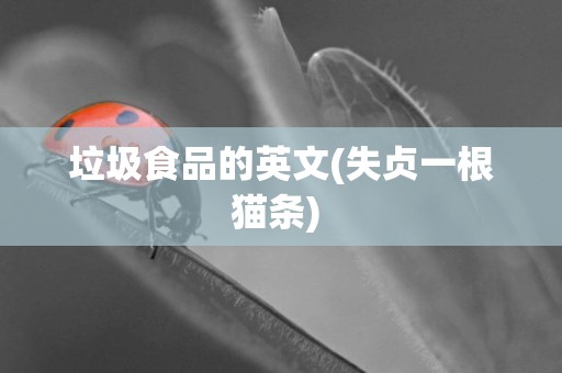 垃圾食品的英文(失貞一根貓條) 