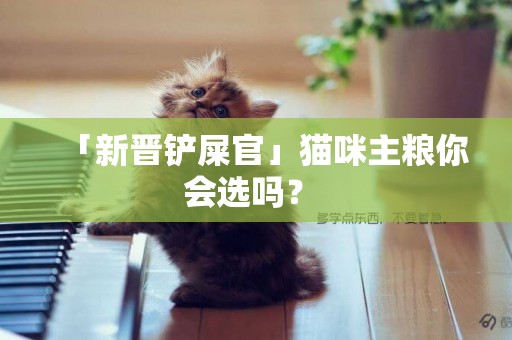 「新晉鏟屎官」貓咪主糧你會選嗎？ 