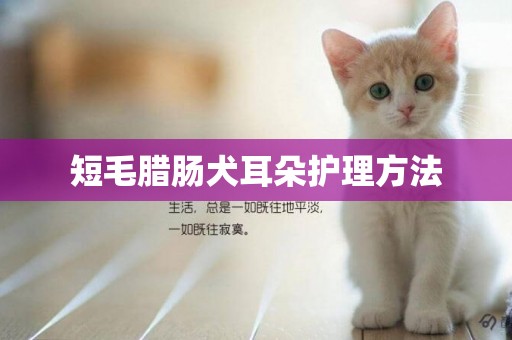 短毛臘腸犬耳朵護理方法