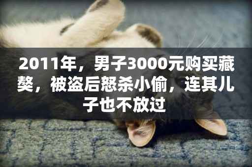 2011年，男子3000元購買藏獒，被盜后怒殺小偷，連其兒子也不放過 